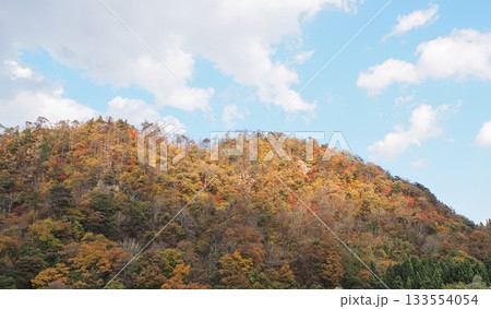 麒麟山　紅葉点描 133554054