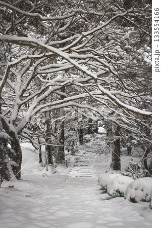 龍穏寺 雪景色 133554166