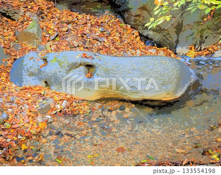 晩秋の人面石と渓流(afr20251112102007) 133554198