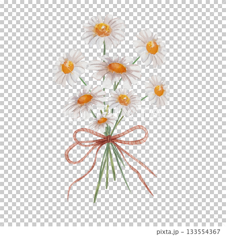 Watercolor bouquet of daisies tied with rustic twine on white. Hand drawn botanical illustration in charming country style. Delicate floral arrangement perfect for wedding and gift designs 133554367