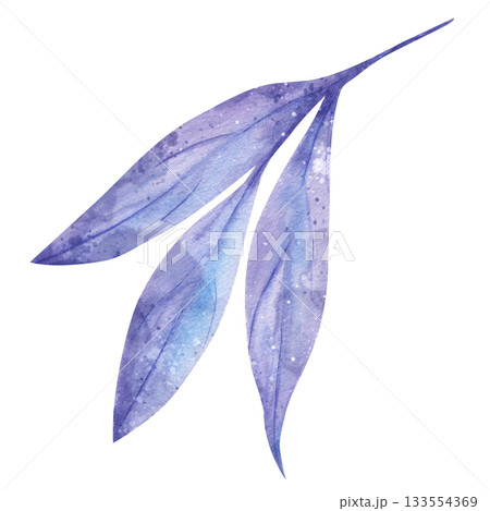 Delicate purple plant twig in minimalist watercolor illustration. Hand drawn botanical specimen isolated on clean white background. Elegant floral element for herbal and medicinal design themes 133554369