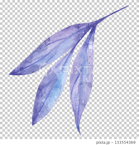 Delicate purple plant twig in minimalist watercolor illustration. Hand drawn botanical specimen isolated on clean white background. Elegant floral element for herbal and medicinal design themes 133554369