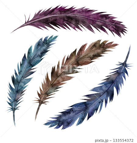 Watercolor set of bird feathers in brown, blue, purple hues. Delicate plumage illustrations isolated on clean white background. Bohemian natural elements for tribal and dreamcatcher designs Watercolor set of bird feathers in brown, blue, purple hues. Delicate plumage illustrations isolated on clean white background. Bohemian natural elements for tribal and dreamcatcher designs 133554372