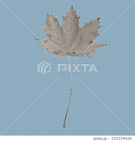 Vintage halftone maple leaf illustration created with black dots on a textured background. Retro botanical vector design element suitable for posters, prints, stickers, and modern graphic artwork. Vintage halftone maple leaf illustration created with black dots on a textured background. Retro botanical vector design element suitable for posters, prints, stickers, and modern graphic artwork. 133554426