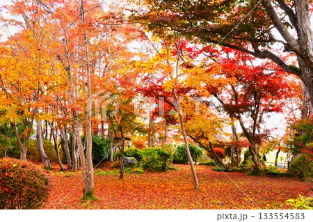 紅葉の新潟県長岡市もみじ園風景 133554583