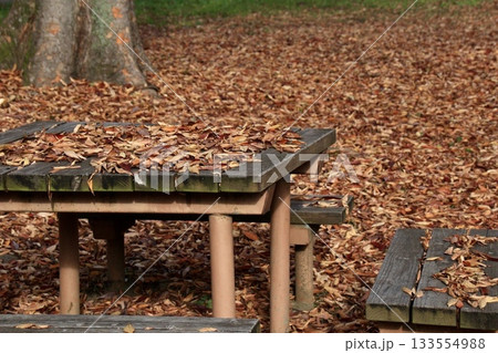 ベンチやテーブルにも積もる落ち葉の絨毯 133554988