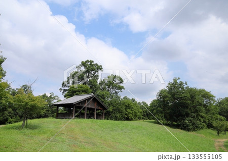 爽やか　夏の公園　東屋 133555105