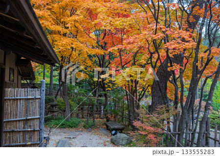 秋彩に包まれる中島公園日本庭園 秋彩に包まれる中島公園日本庭園 133555283