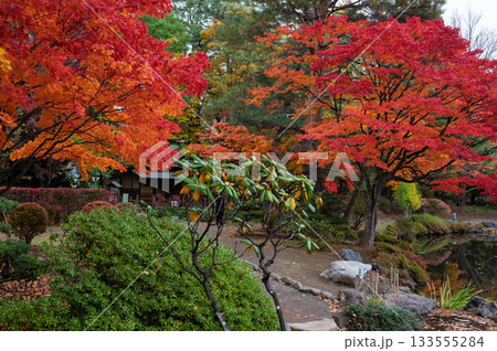 秋彩に包まれる中島公園日本庭園 133555284