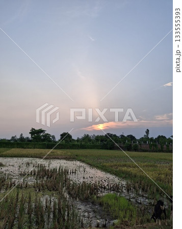 Serene sunset over a rural landscape with waterlogged fields 133555393