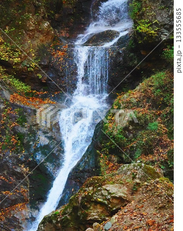 晩秋の山奥の滝（afp220251112105908) 133555685