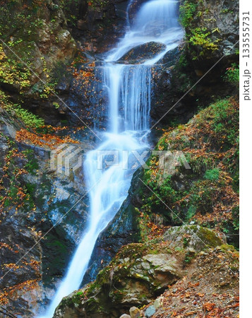 晩秋の山奥の滝（afp220251112110035) 133555731