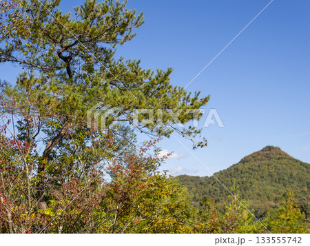 紅葉した木々と有馬富士の風景 133555742