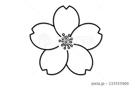 春の花・桜のモノクロイラストアイコン素材 133555900