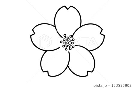 春の花・桜のモノクロイラストアイコン素材 133555902