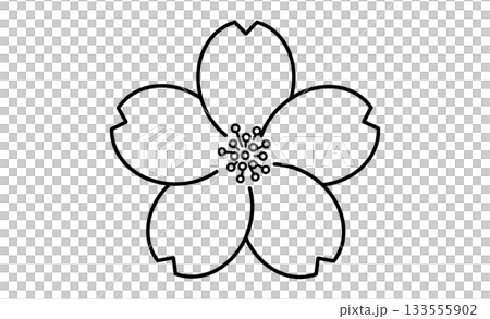 春の花・桜のモノクロイラストアイコン素材 133555902