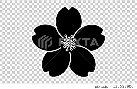 春の花・桜のモノクロイラストアイコン素材 133555906