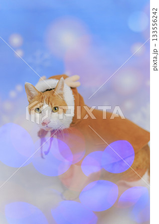 茶トラ猫　トナカイ 133556242