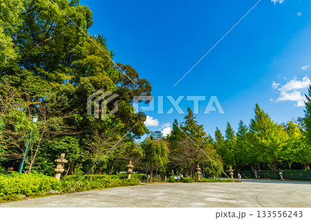 東京都 靖国神社参道 東京都 靖国神社参道 133556243