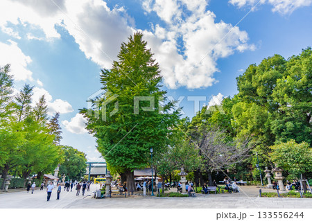 東京都　靖国神社参道 133556244