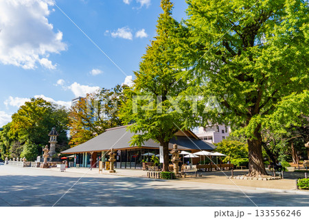 東京都　靖国神社参道 133556246