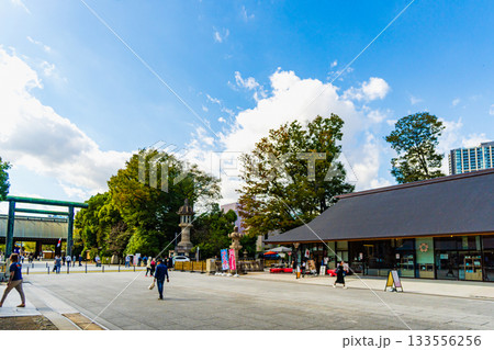 東京都 靖国神社参道 東京都 靖国神社参道 133556256