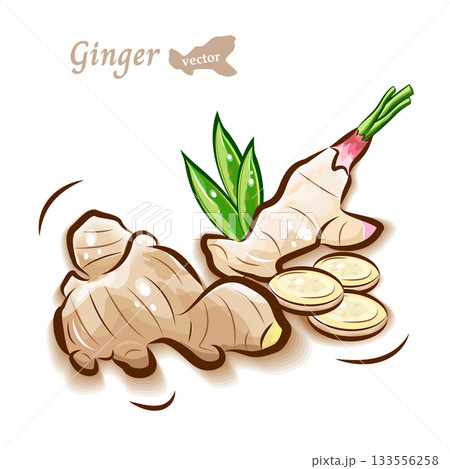 生姜(しょうが)の可愛いイラスト｜新鮮野菜のポップなベクター素材 133556258