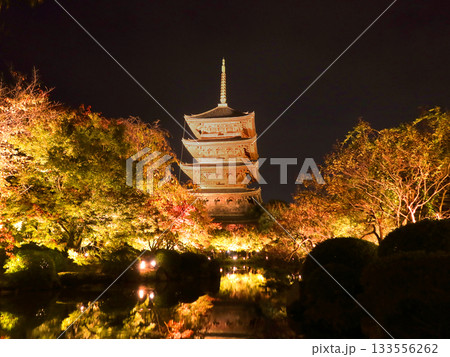 ライトアップで浮かび上がる京都・東寺の五重塔と色づき始めた木々 133556262