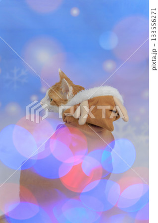 茶トラ猫　トナカイ 133556271