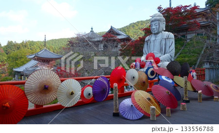 眼病に霊験あらたかと言われる奈良の壷阪寺 眼病に霊験あらたかと言われる奈良の壷阪寺 133556788