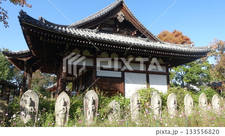 花の寺・奈良の般若寺 133556820