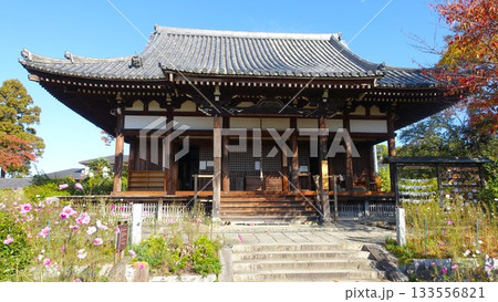 花の寺・奈良の般若寺 133556821