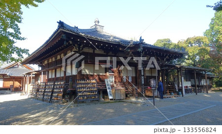 病気平癒、がん封じの寺・奈良の大安寺 133556824