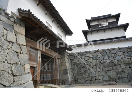 福岡城の城門と石垣 福岡城の城門と石垣 133556863