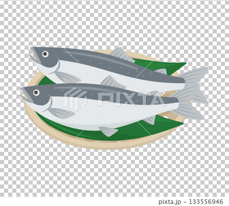 ざるに盛られた鮭,フラットイラスト ざるに盛られた鮭,フラットイラスト 133556946