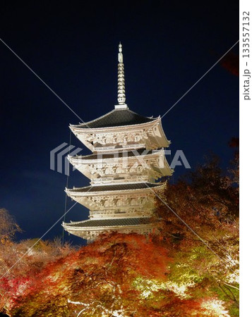 紅葉した木々越しにライトアップで浮かび上がる京都・東寺の五重塔を見る 133557132