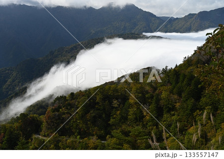 溢れ出る滝雲(高知県吾川郡いの町) 溢れ出る滝雲(高知県吾川郡いの町) 133557147