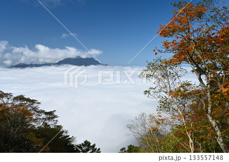雲海に浮かぶ石鎚山と紅葉(愛媛県西条市西之川) 雲海に浮かぶ石鎚山と紅葉(愛媛県西条市西之川) 133557148