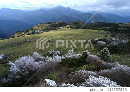 霧氷と石鎚山4（愛媛県西条市西之川　瓶ヶ森男山山頂より） 133557230