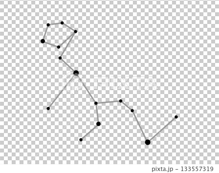 くじら座の星座線のモノクロイラスト 133557319