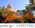 錦秋に包まれる秋の大阪城 133557592