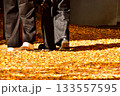 銀杏の落ち葉を踏む音 133557595