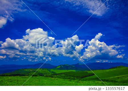 爽やかな青空と草原 133557617