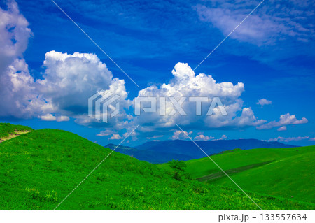 美しい緑の草原と夏空 133557634