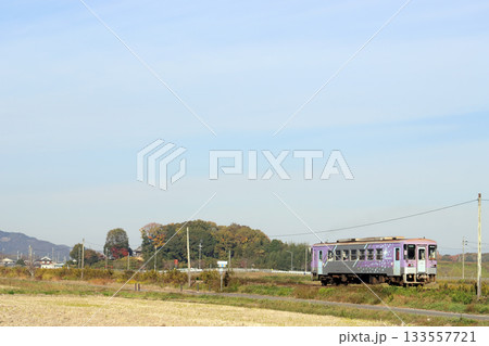 北条鉄道 網引駅の大イチョウ(兵庫県 加西市) 北条鉄道 網引駅の大イチョウ(兵庫県 加西市) 133557721
