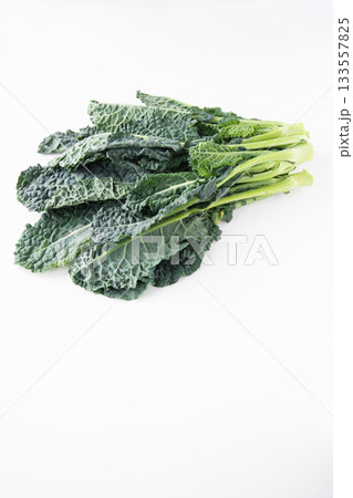 白背景のアレッタ 白背景のアレッタ 133557825