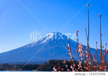 繭玉飾りと富士山のお正月イメージ 133557836