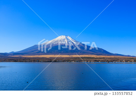 山中湖親水公園から見えた冬の青空と富士山 133557852