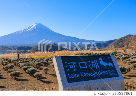 河口湖大石公園から見る新年の富士山と青空の絶景 河口湖大石公園から見る新年の富士山と青空の絶景 133557861