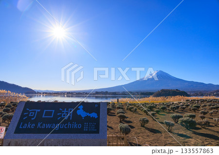 河口湖大石公園から見る新年の富士山と青空の絶景 河口湖大石公園から見る新年の富士山と青空の絶景 133557863